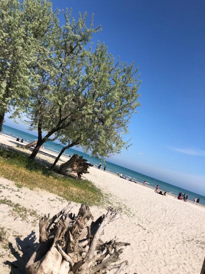 North Spa&Pools Alezzibeach ナボダリ エクステリア 写真